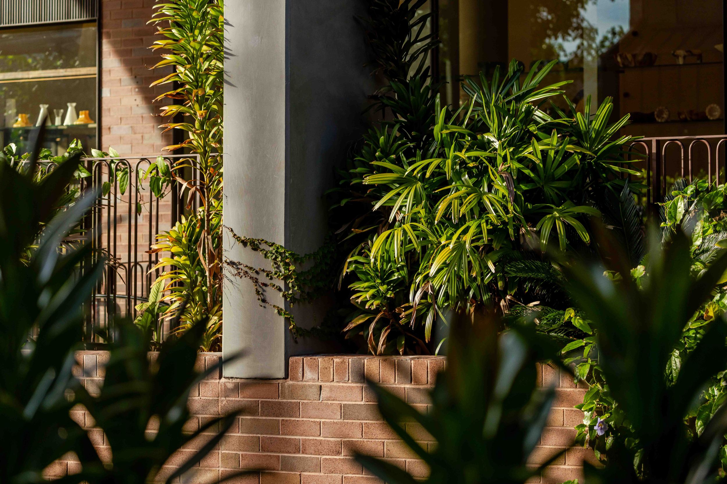 Lush tropical plants and palm trees surround a brick entrance with white columns in warm sunlight.