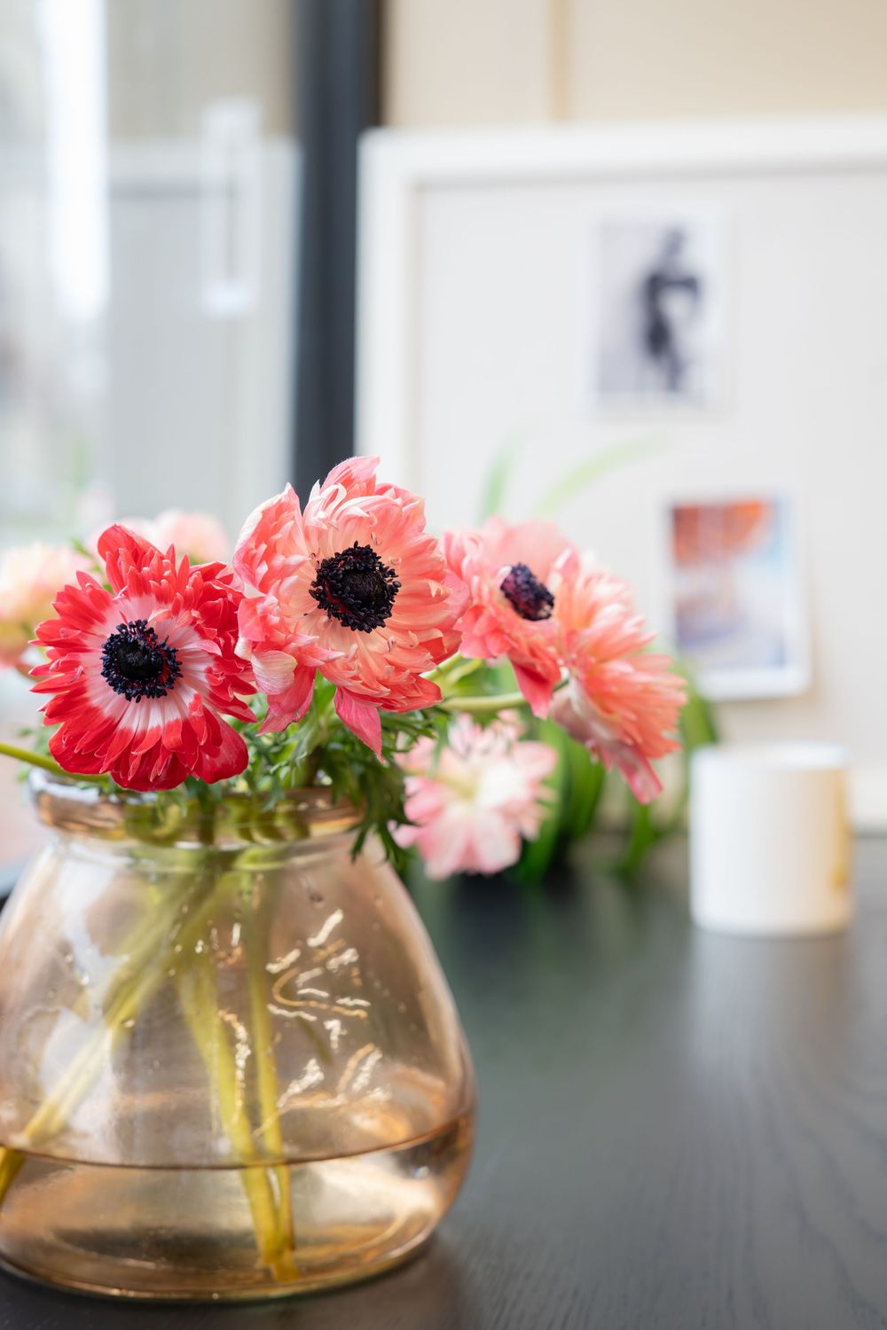 Coral anemones by The Cove florist