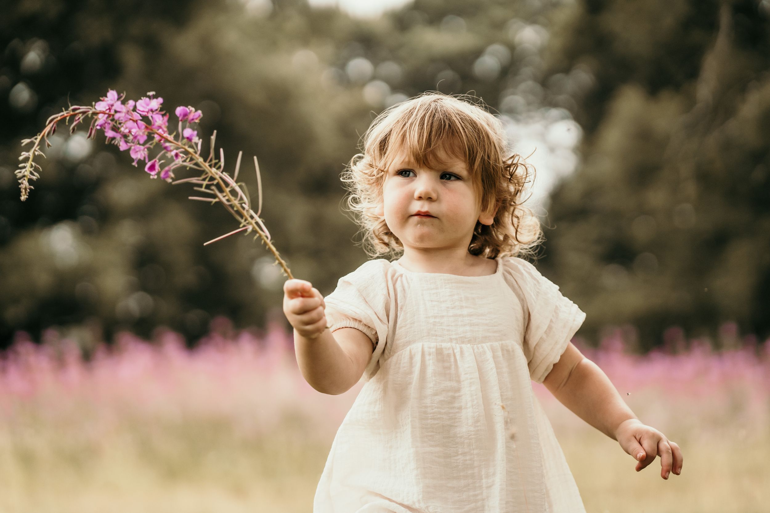 close-up of toddler waving a flower about and looking at it