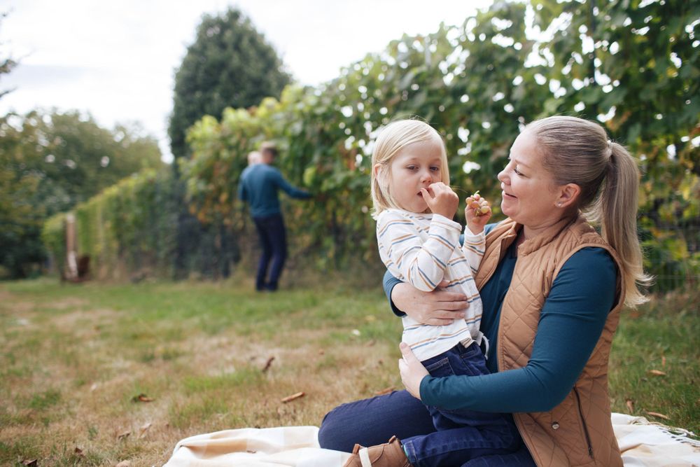 a mother sits on a blanket holding her 3-year-old son while the father and newborn pick grapes from the vine