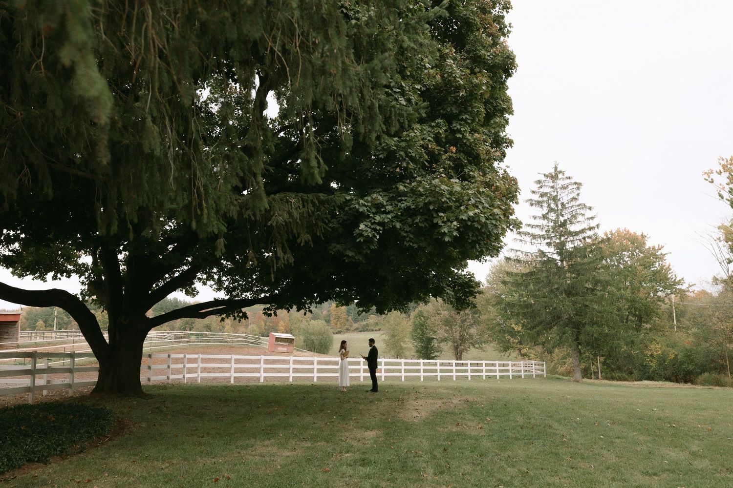 Lone figure standing beneath large tree beside white fence on lush green farm wedding venue grounds.