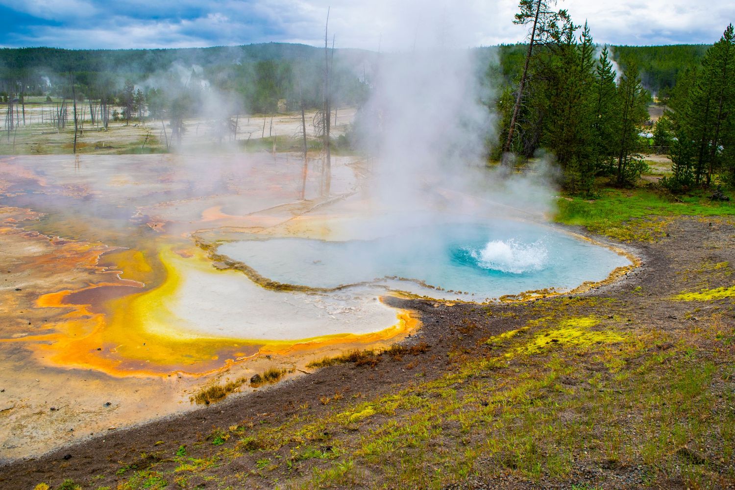 Vibrant orange and blue geothermal hot spring with steam rising in Yellowstone National Park.