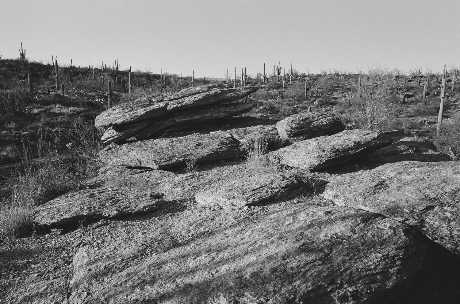 Rocky desert terrain with large boulders and saguaro cacti in monochrome.