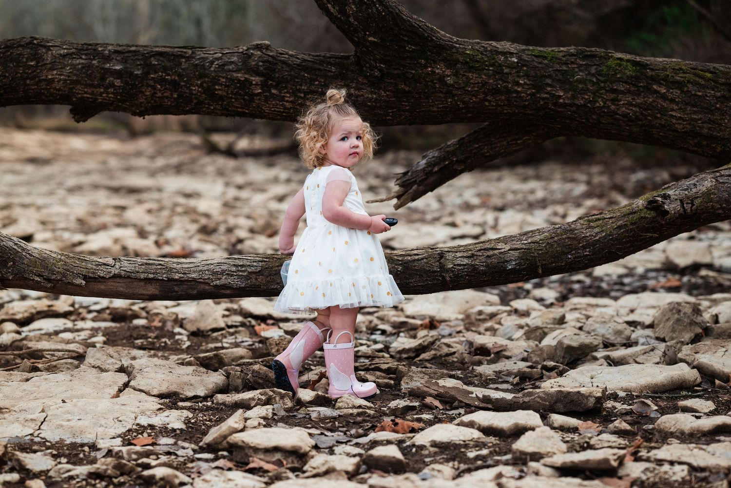 Child in white dress explores natural setting with fallen logs and rocks during photo session.