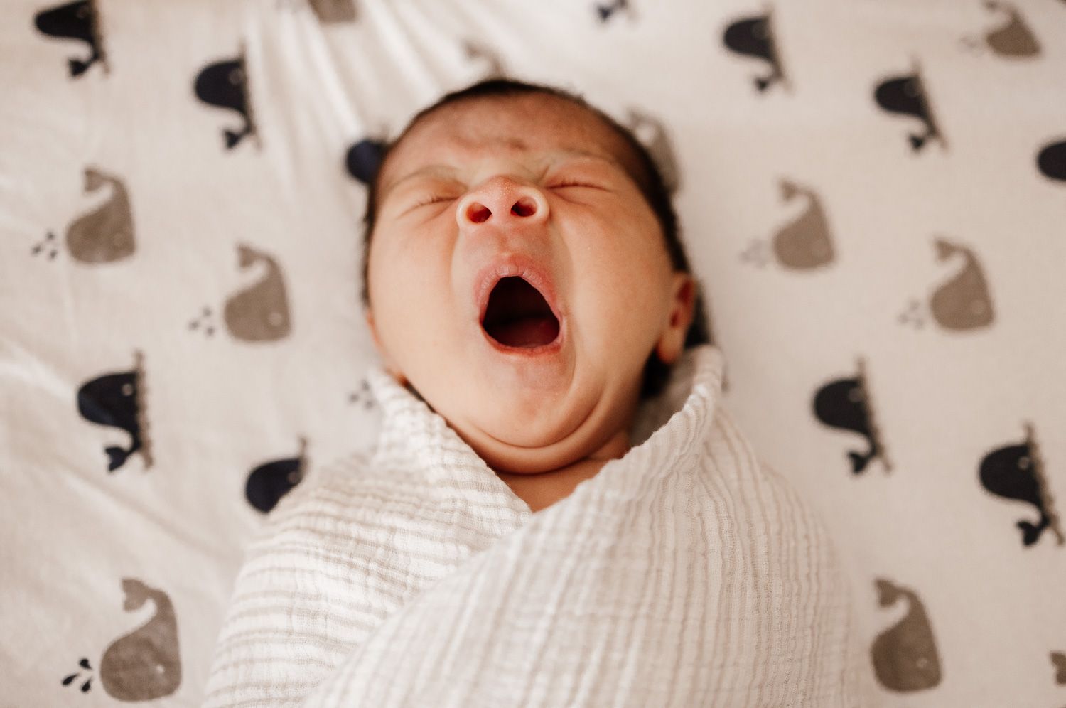 Newborn baby yawns during his Los Gatos in-home newborn photography session by Bay Area Photographer Cindy Tucey