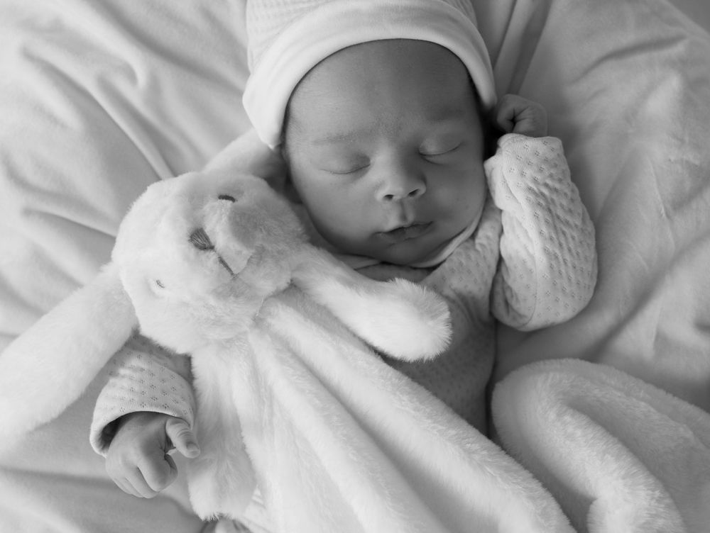 Winston Salem Family Photographer, NC photographer, newborn photographer, family photographer, Morgan Brown Photo, family Portraits, newborn