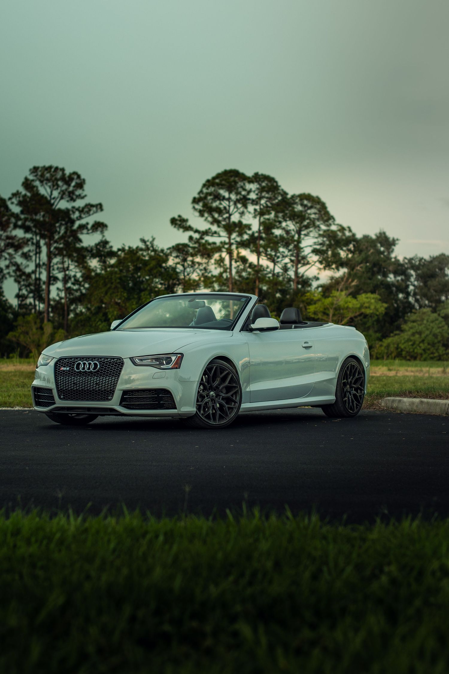 White audi