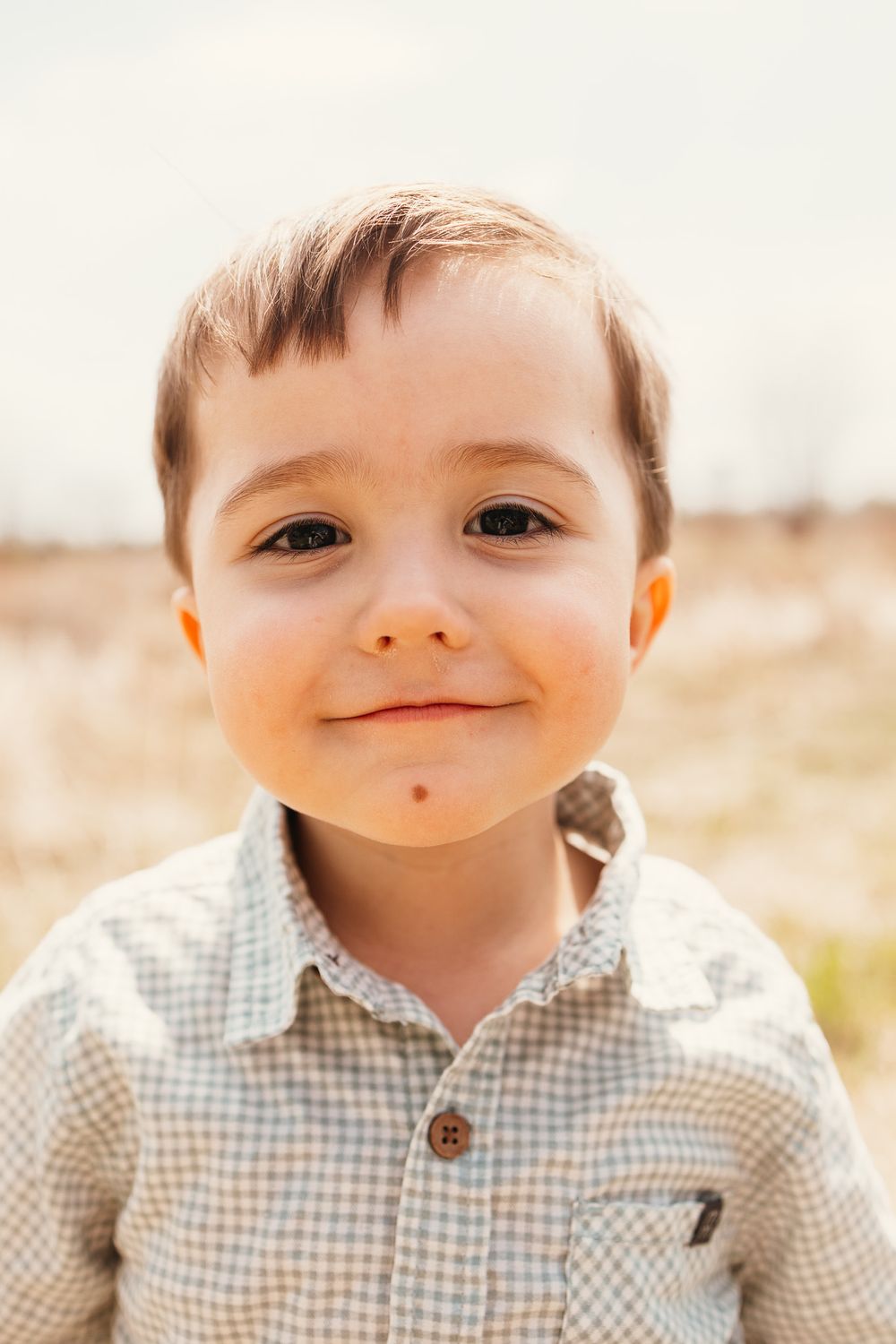 A young boy in a plaid shirt smiles softly outdoors in a sunny field.