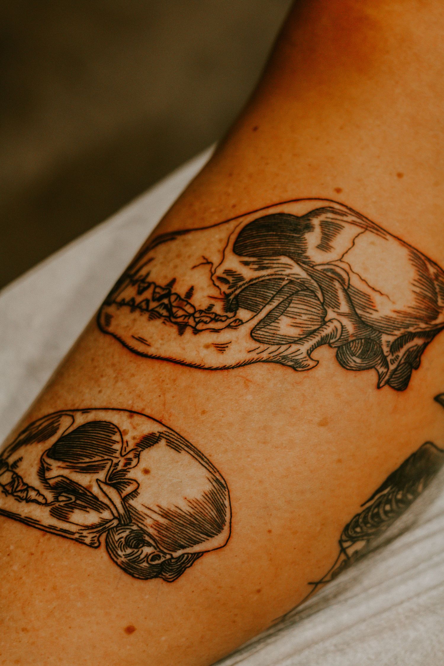 Two detailed black ink animal skull tattoos on an arm, featuring intricate linework and shading.