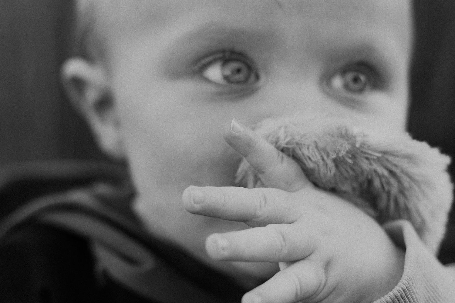 Black and white close-up of a young child with blue eyes holding a soft stuffed animal toy near their face.