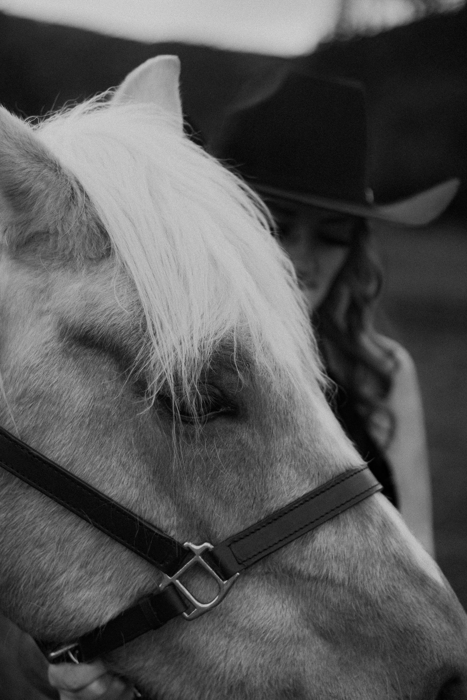 Black and white photo of a white horse wearing a halter beside a woman in a cowboy hat.