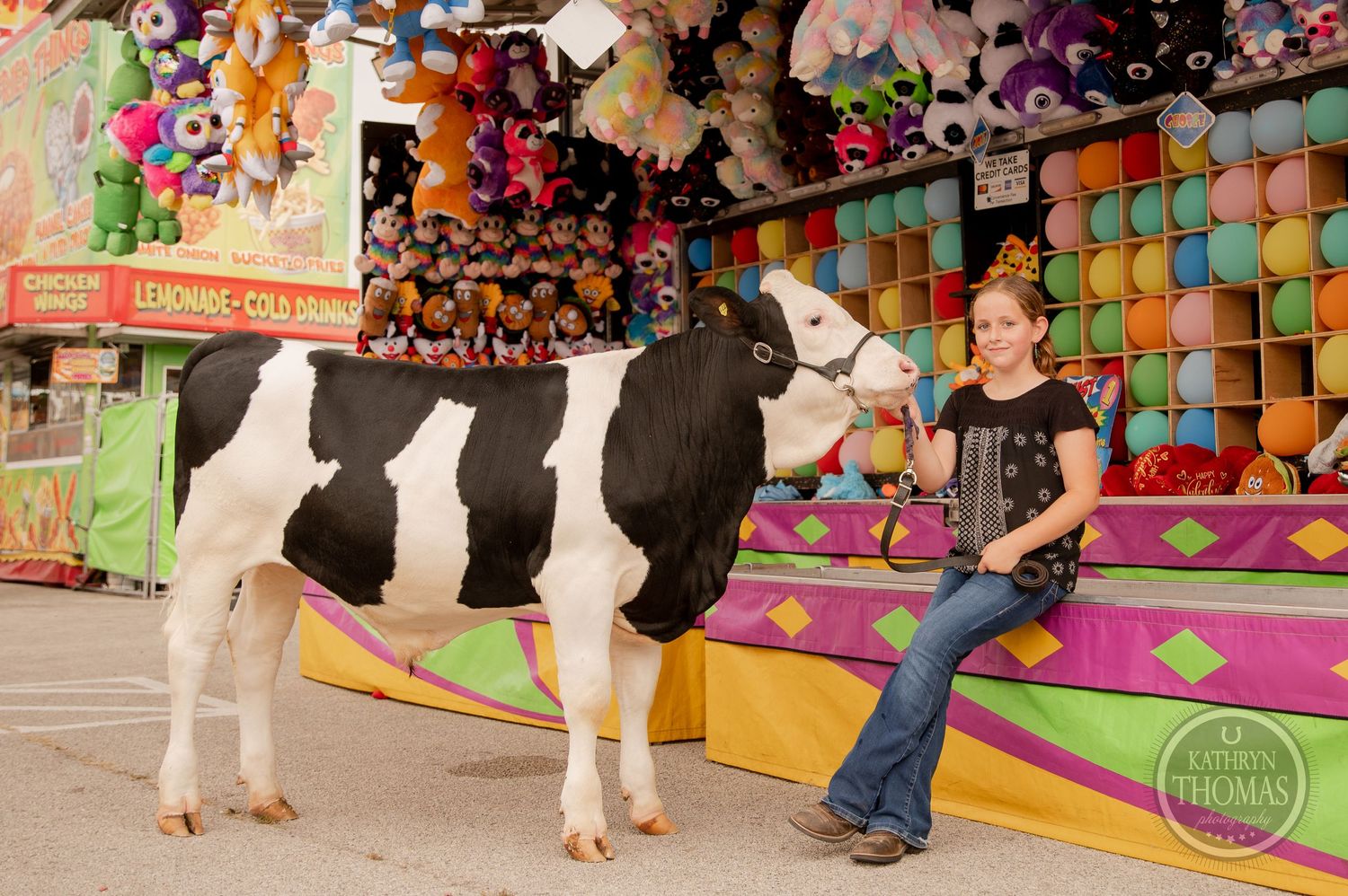 A Holstein show cow stands at a colorful carnival game booth with stuffed animals.