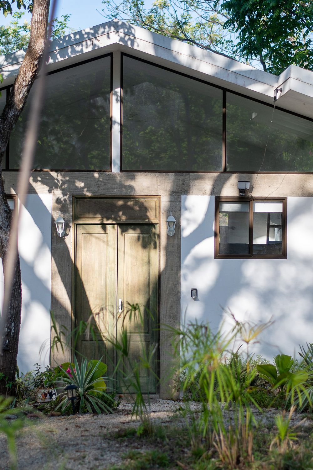 Modern minimalist house exterior with wooden door and surrounding plants.