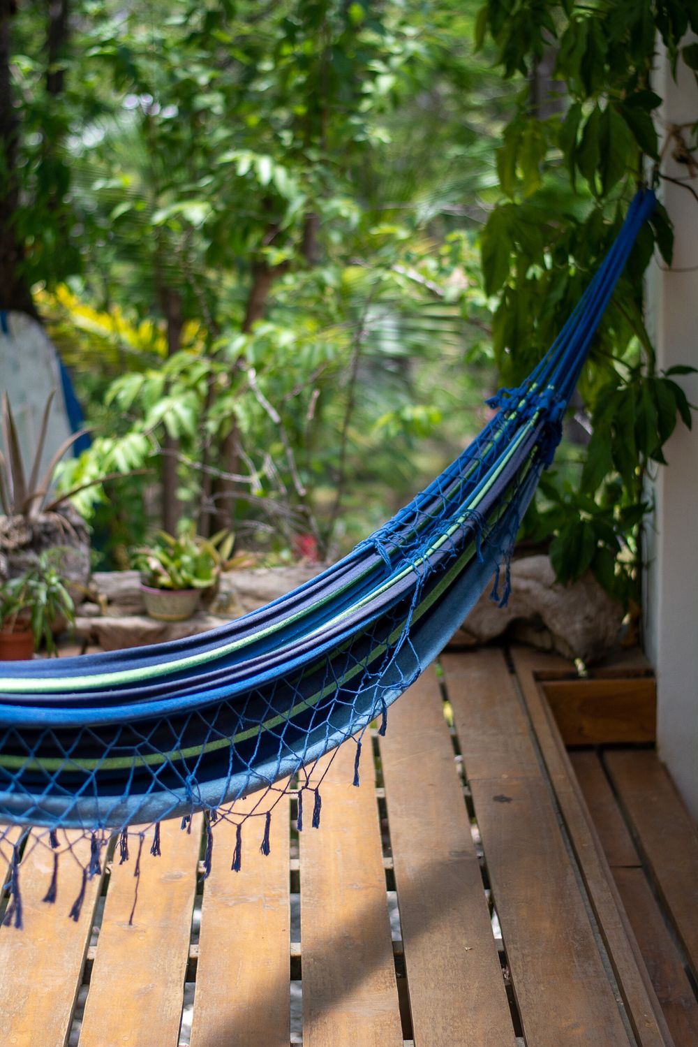 A blue striped hammock hanging on a wooden deck surrounded by lush green foliage.