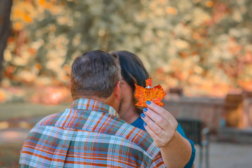 Person holding orange maple leaf while sitting on wooden bench.