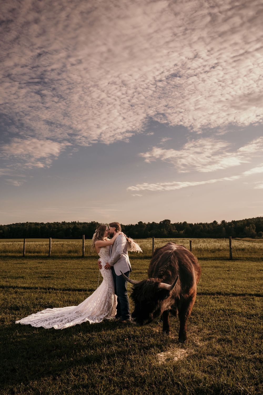 Romantic sunset photoshoot in a rustic field with a couple and a brown horse creating a dreamy rural atmosphere.