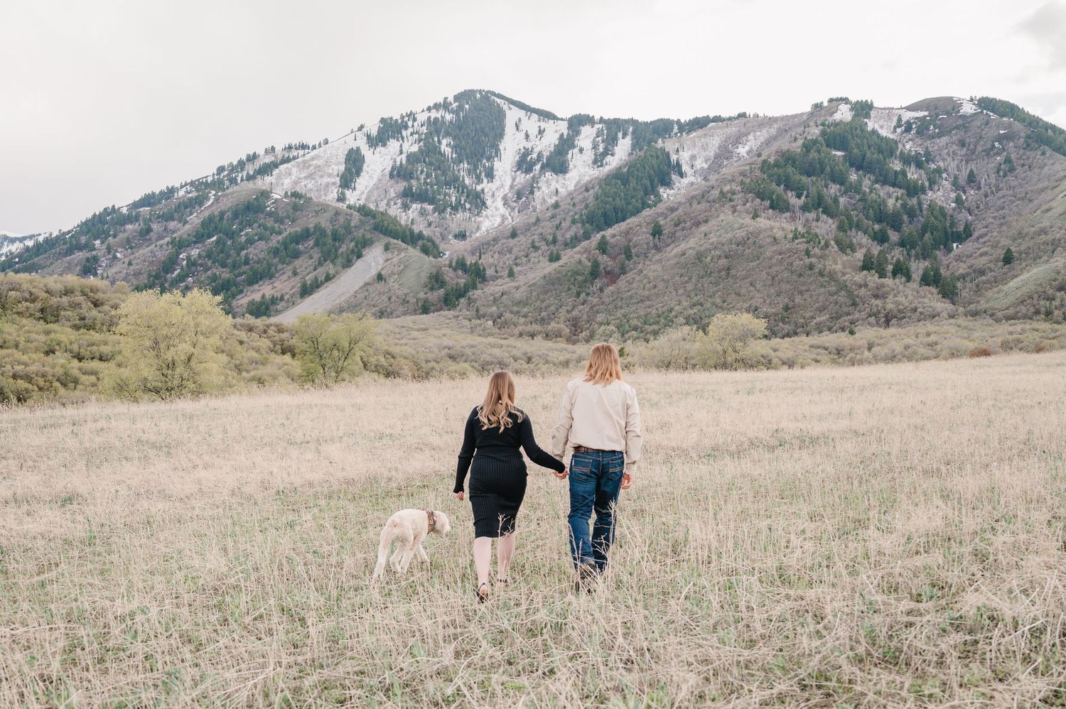 Two people and a dog walking together in a grassy meadow with snow-capped mountains in the background.