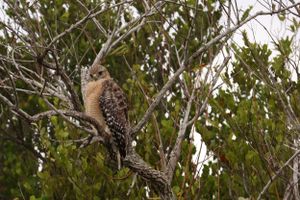 Nature & Wildlife Photography - Heather Hathaway Photography LLC