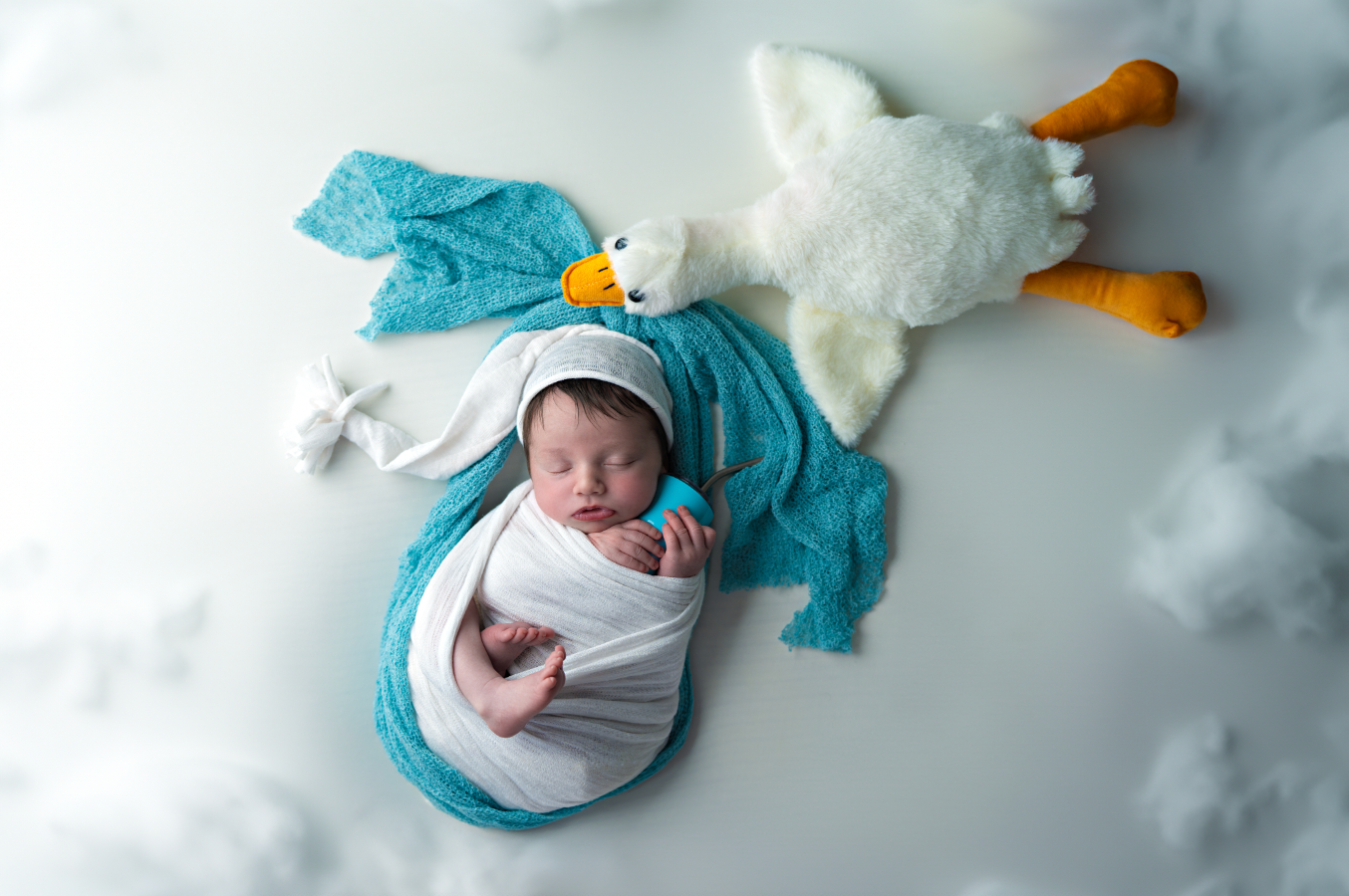 Newborn baby swaddled in white wrap posed with a stork stuffed animal on a blue scarf cloud backdrop. Embracing Life’s Beauty