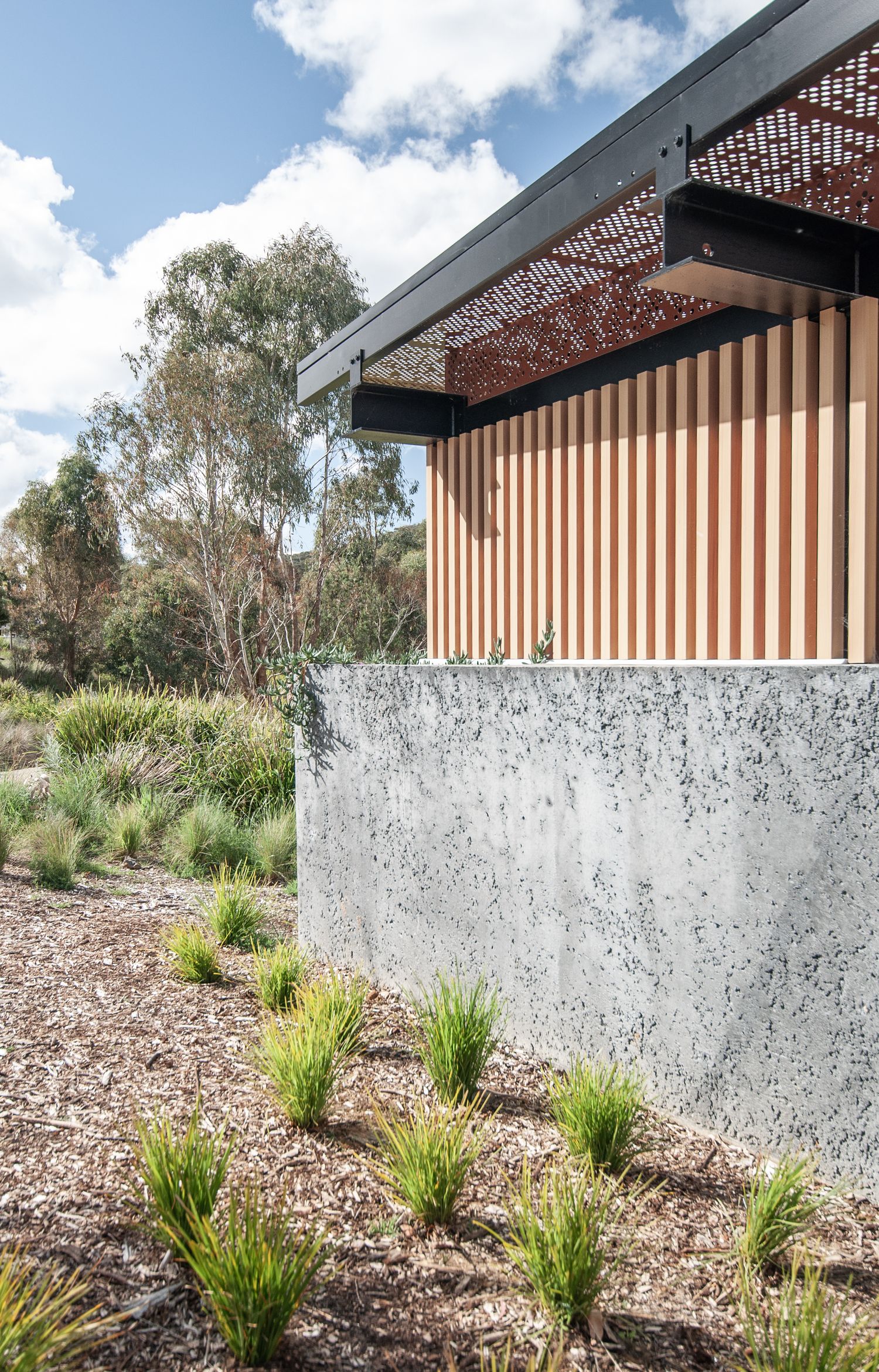 Architectural detail showing vertical wood slats and concrete wall with drought-resistant landscaping.