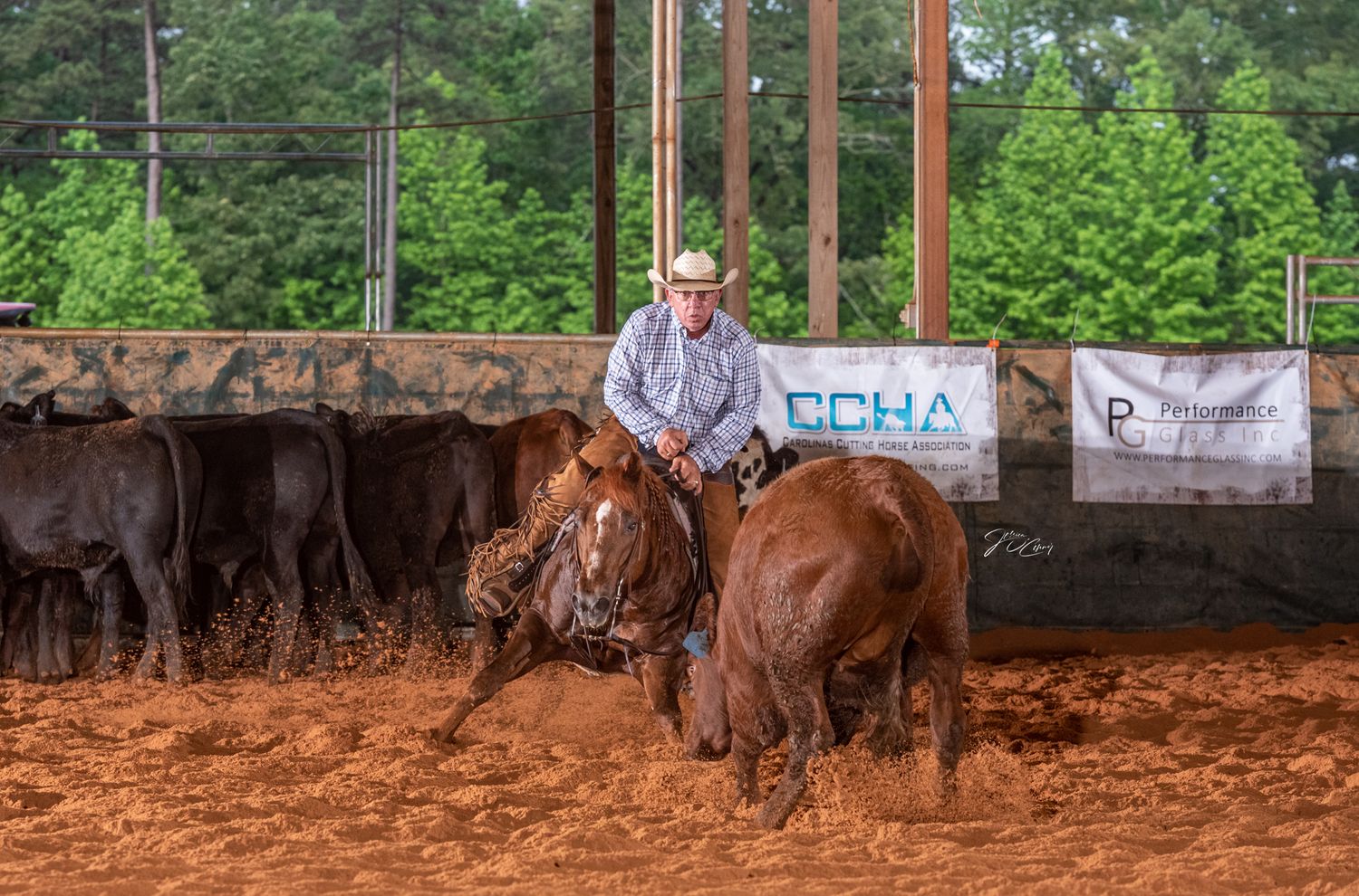 A sorrel cutting horse goes head-to-head with a cow at a cutting horse show. Photography by Camden equine photographer.