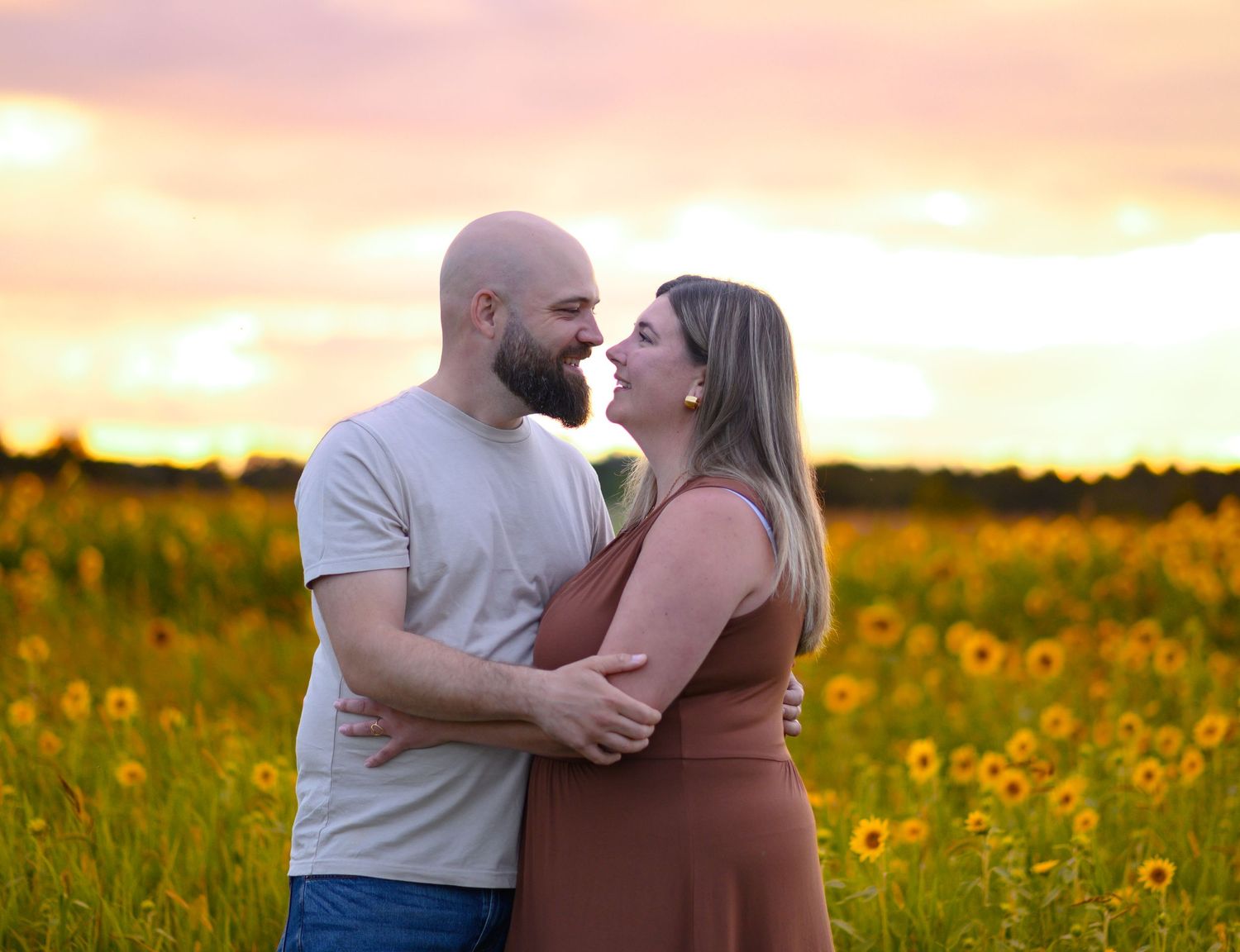 Séance amoureux au tournesol