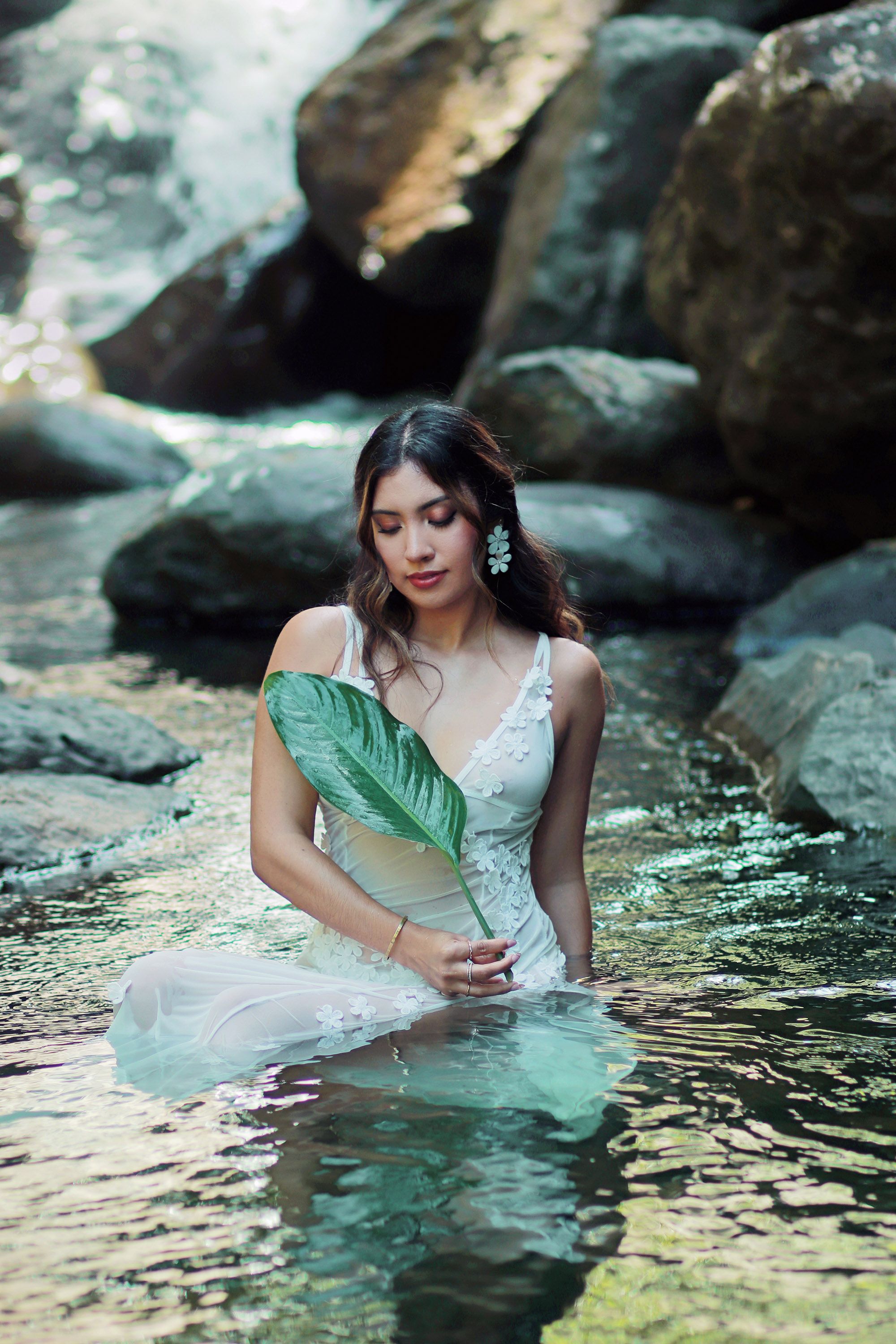 Puerto Rico Photographer. Albert Ray Photo. Rainforest Photoshoot. Female Portraits. Book Now. Waterfall Photoshoot. El Yunque. Photography