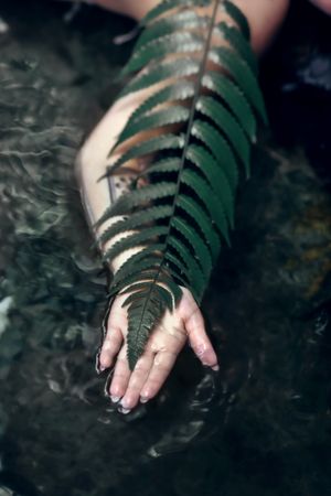 Puerto Rico Photographer. Albert Ray Photo. Rainforest Photoshoot. Portraits. Book Now. Waterfall Photoshoot. Editorial. El Yunque. Fashion