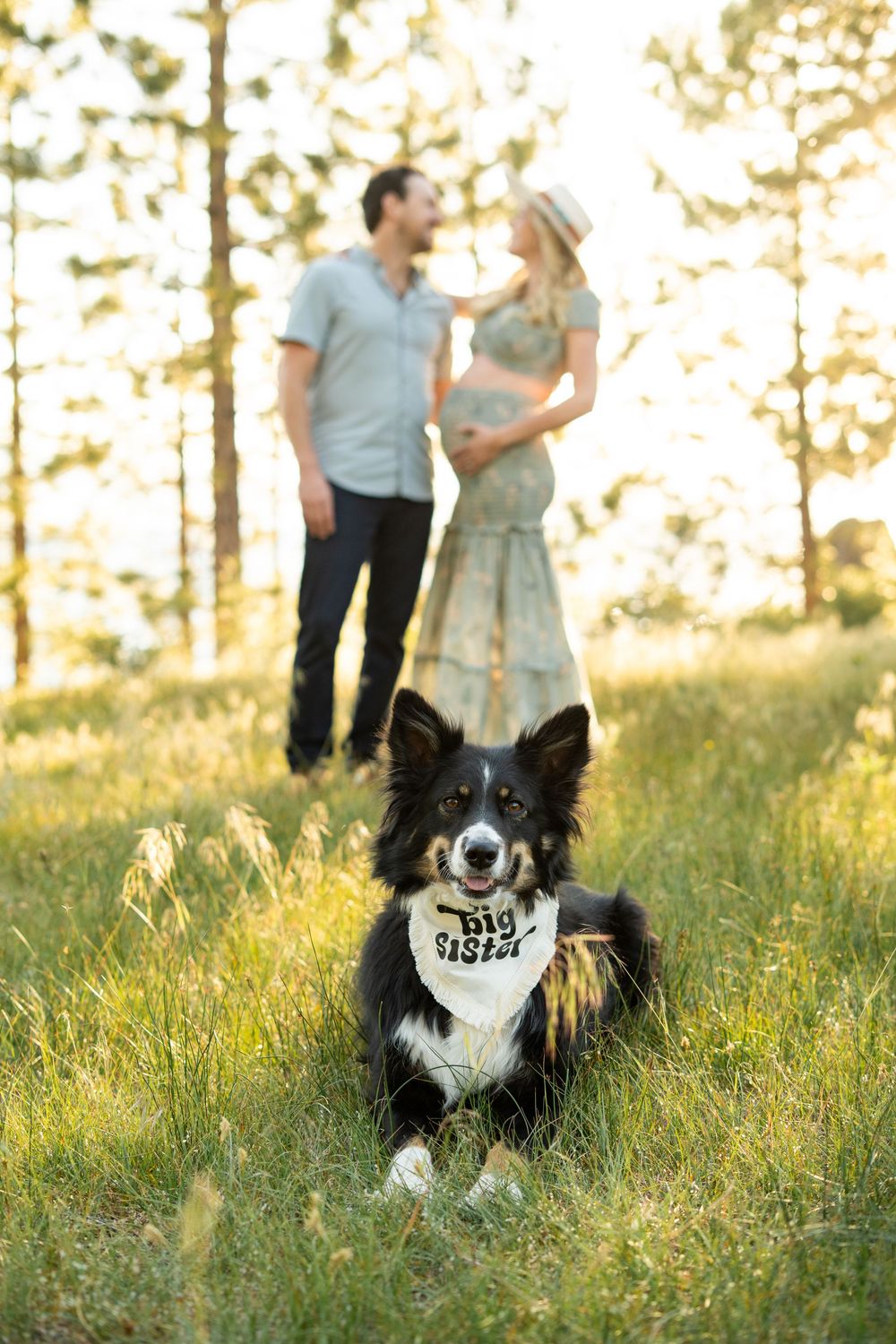Reno Tahoe Maternity Photographer