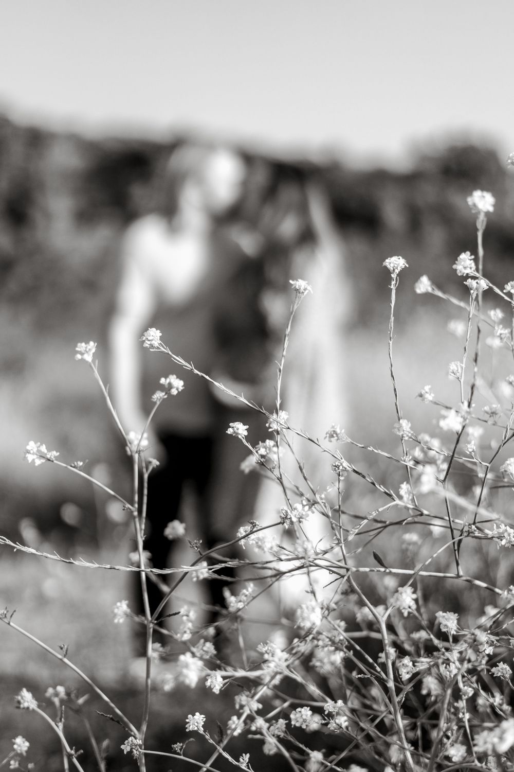 Delicate white wildflowers in foreground with soft blurred background in black and white photography.
