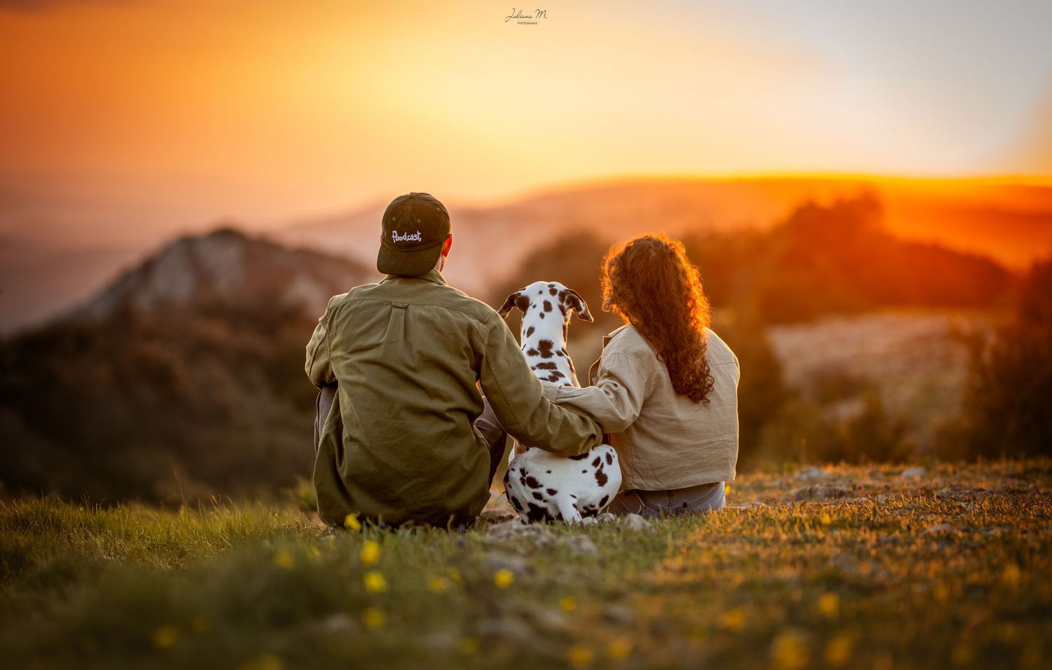Shooting photo près d'Aix en Provence, photographiez votre chien au coucher du soleil