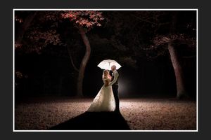 A silhouetted couple stands under an illuminated umbrella at night with pink-lit trees framing the romantic scene.
