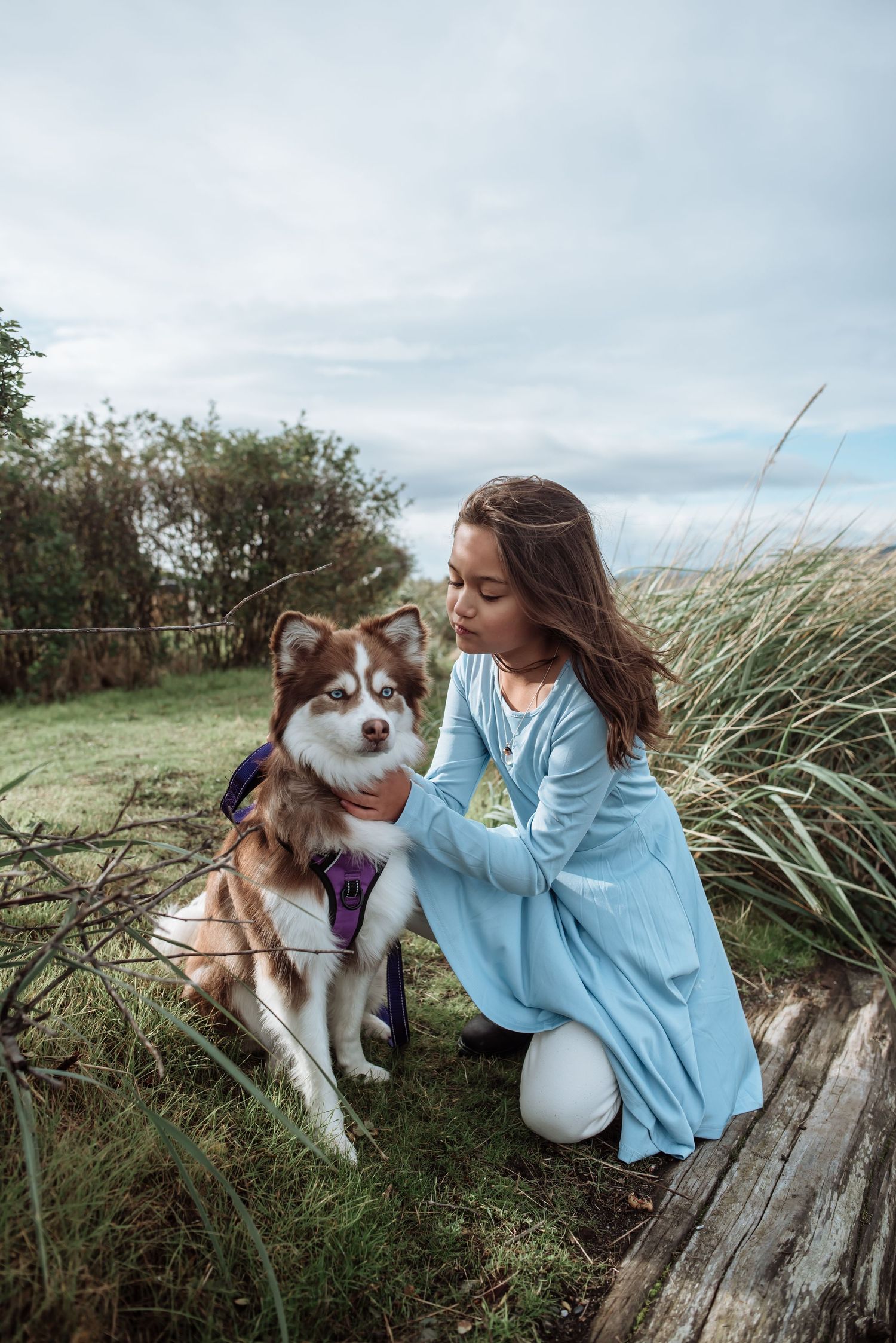 Person in blue dress kneeling beside friendly husky mix dog in tall grass by the coast.