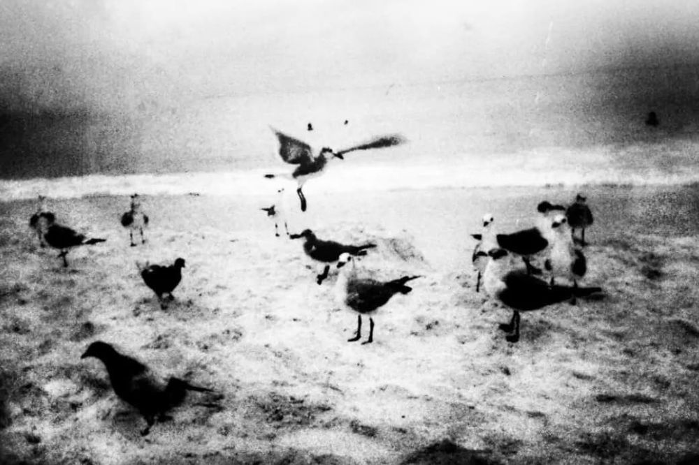 Caminando desierto - Fotografía analógica de medio cuadro (35mm) y bitácora de viaje | Gabriel Indra Camargo Indraxus