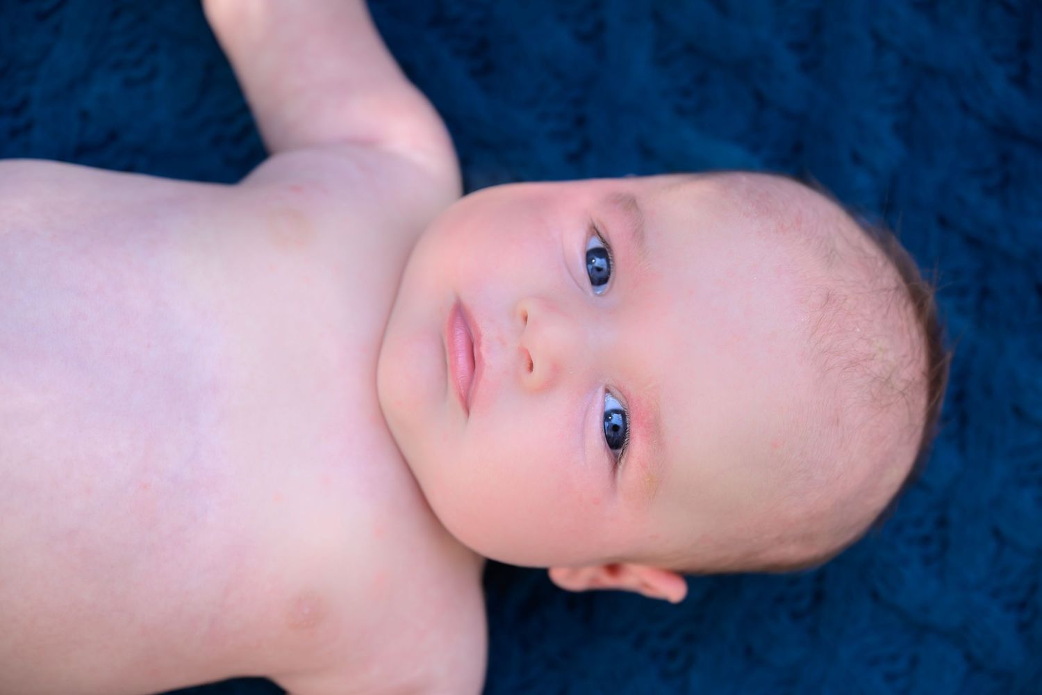Baby boy on blue blanket