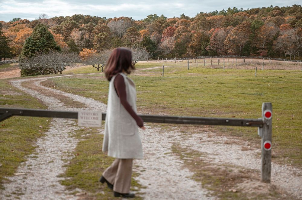 Someone in a white sweater walks along a sandy path through a grassy field on a sunny day.
