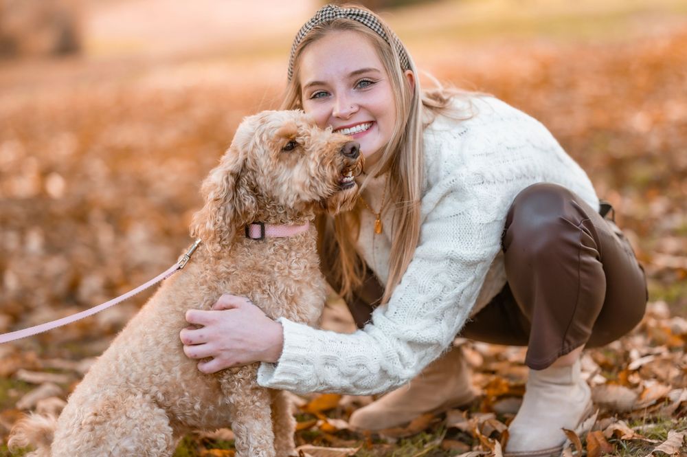 A golden doodle dog and person embrace while playing in fallen autumn leaves on the ground.