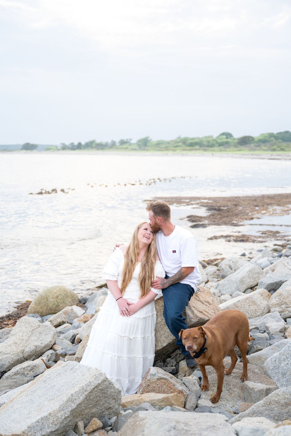 A couple sits on rocky coastal boulders with their brown dog, the man kissing the womans cheek by the sea.