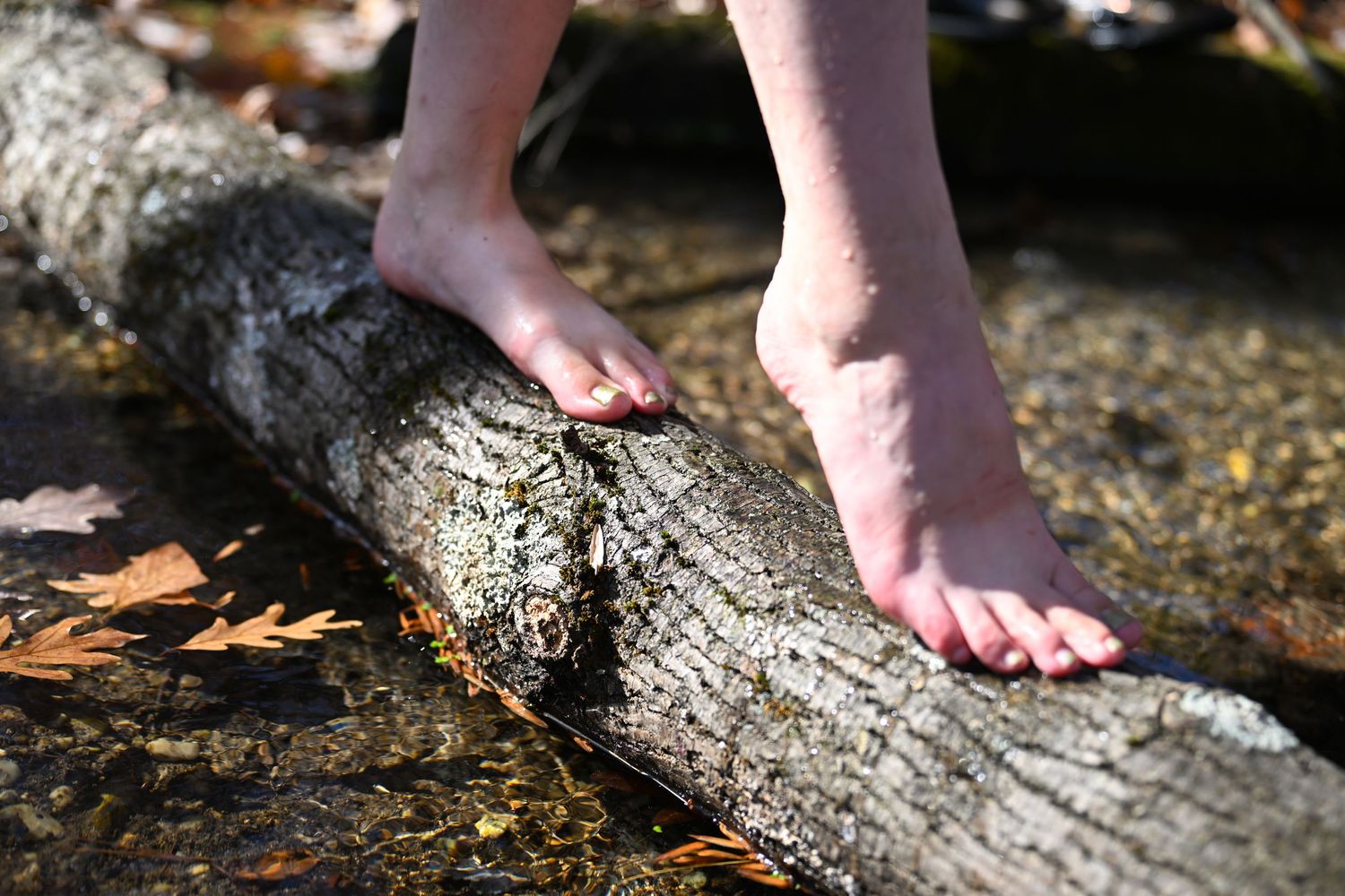 a close up shot of two feet balancing on a log in the middle of a creek