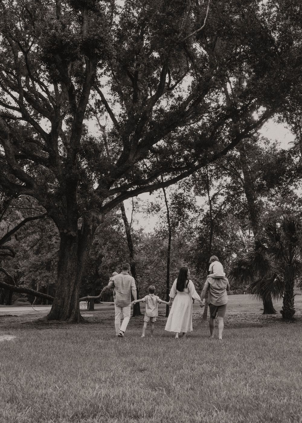 Black and white photo of a family holding hands walking toward a large oak tree in a grassy park.