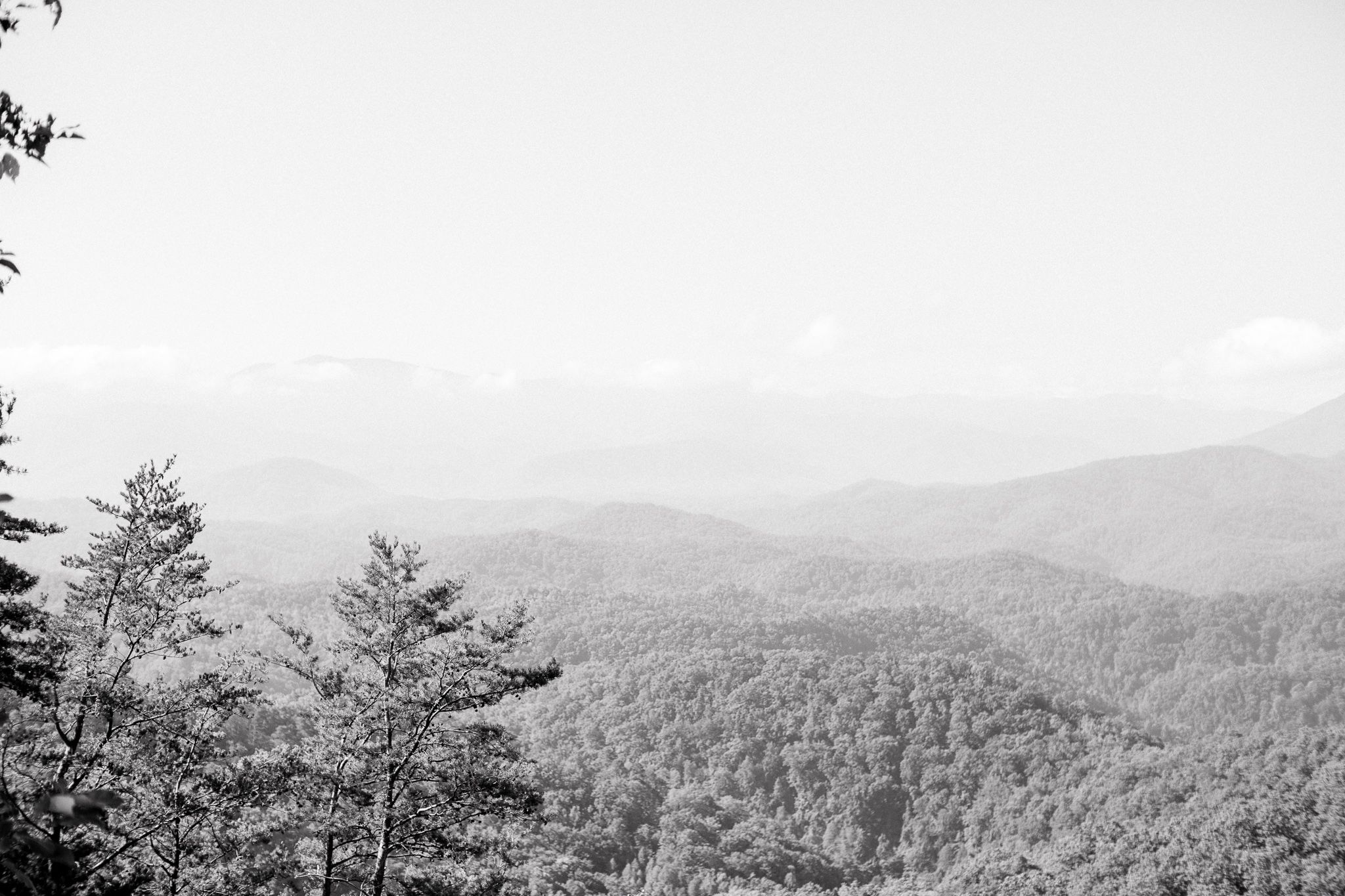 Gatlinburg Photography