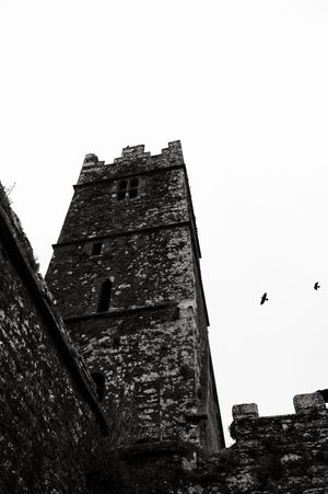Ancient stone castle walls photographed in stark black and white against a bright sky with birds.