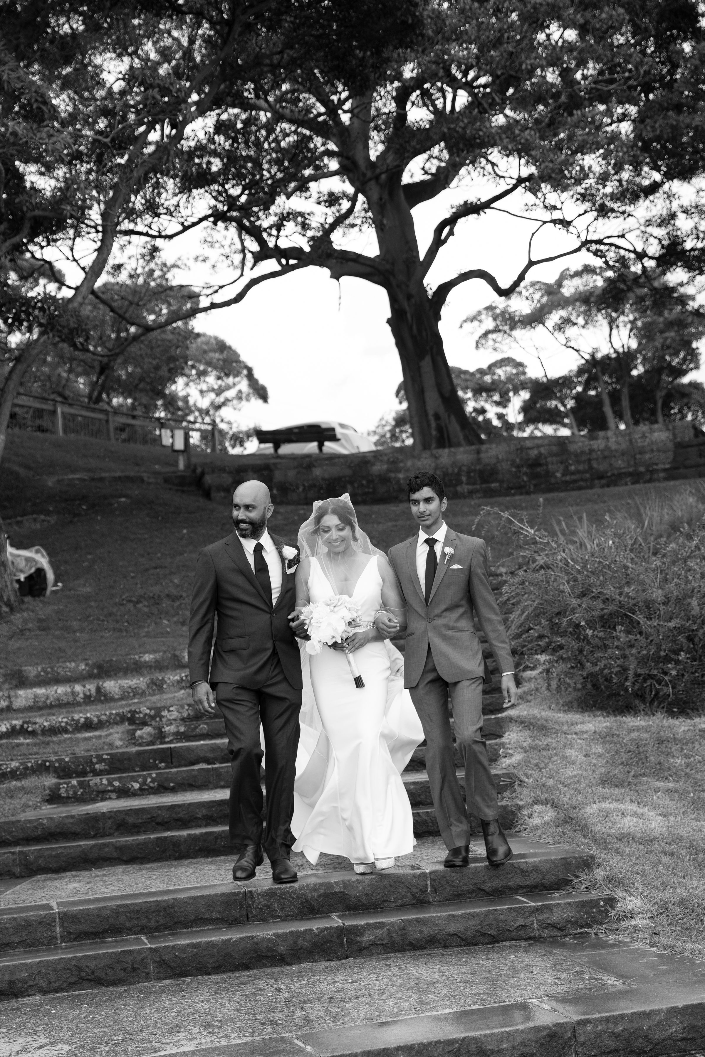 Black and white photo of wedding party walking down stone steps under large tree.