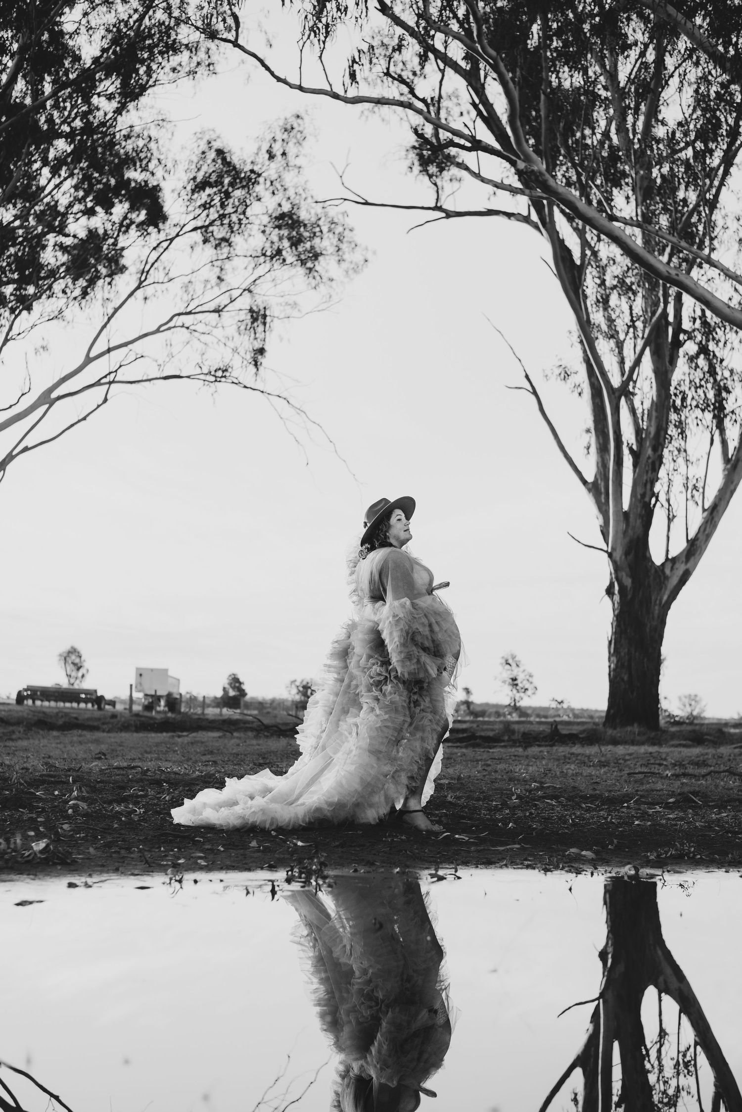 A silhouette stands by a reflective pond with eucalyptus trees framing the scene.