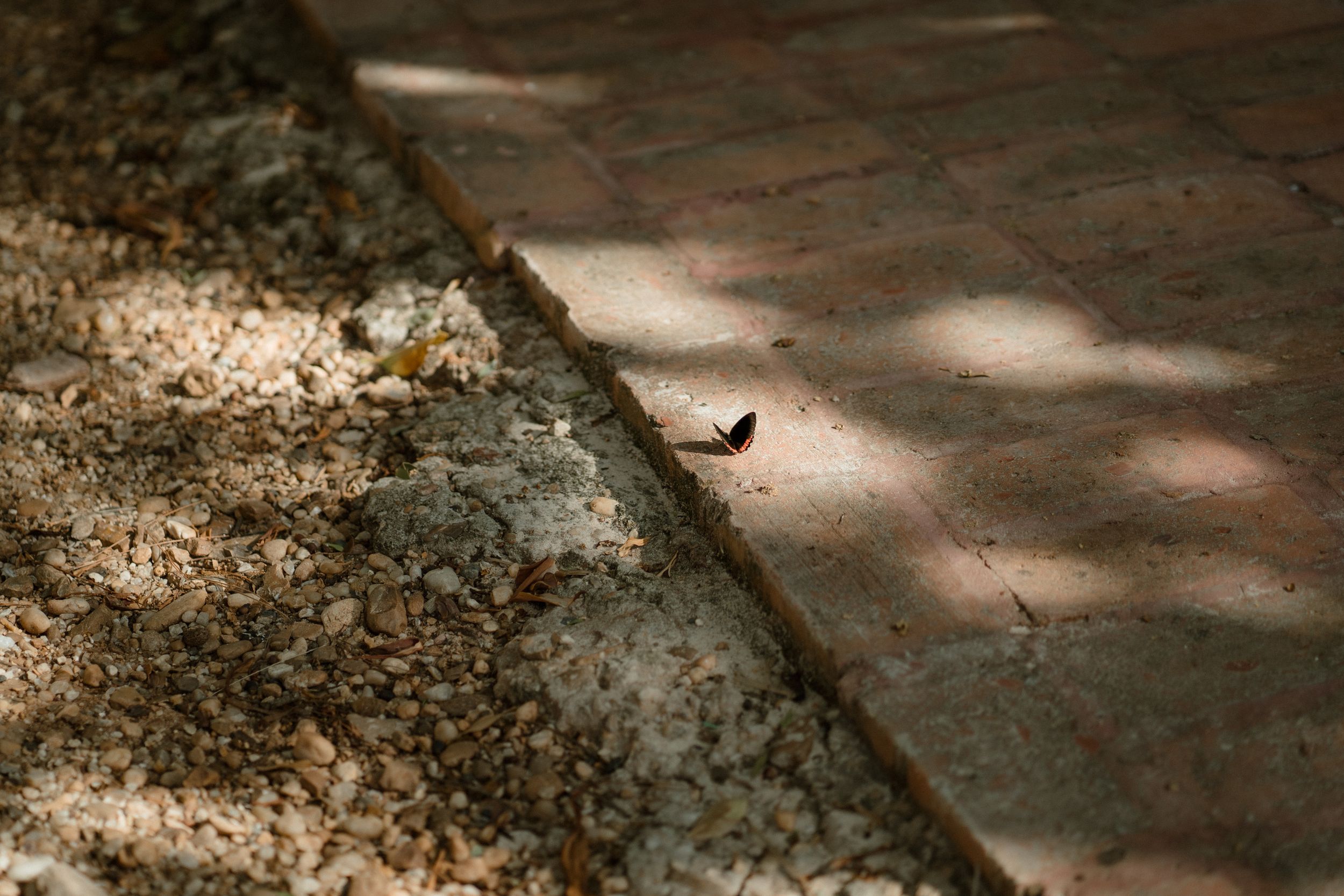 Sunlit stone pathway with dappled shadows creating an artistic pattern.
