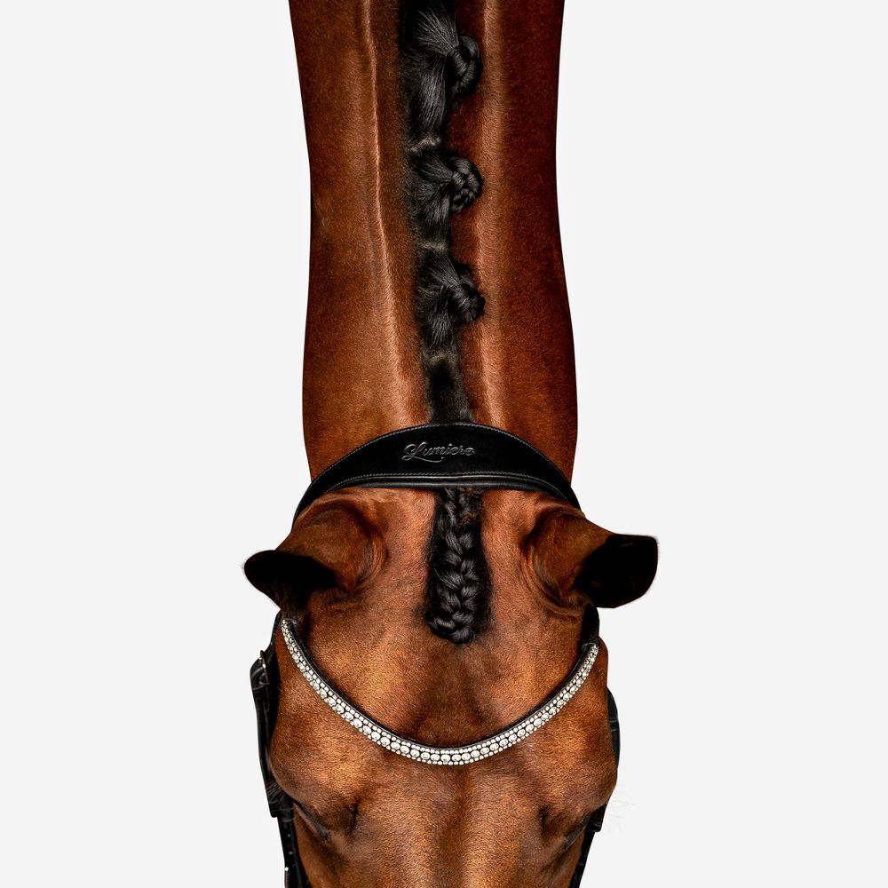 australian melbourne victoria equine photographer commercial brand fashion professional horse photography equisoul media