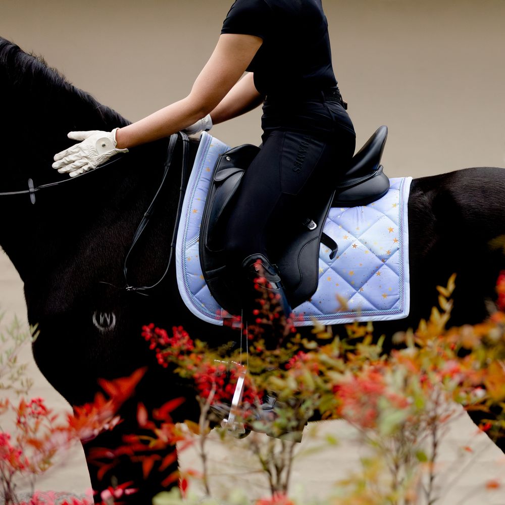 australian melbourne victoria equine photographer commercial brand fashion professional horse photography equisoul media