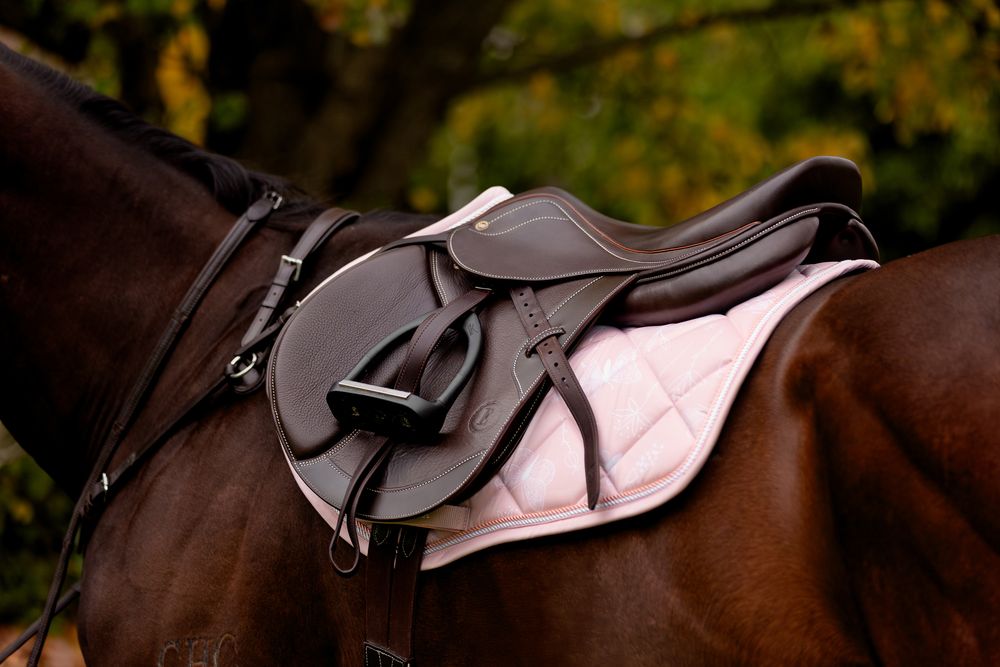australian melbourne victoria equine photographer commercial brand fashion professional horse photography equisoul media