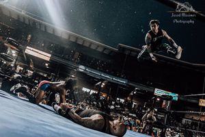 A dramatic wrestling match moment captured in an arena with spotlights and crowd.