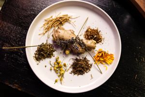 Various dried herbs and spices artfully arranged on white plate with fresh ginger root.
